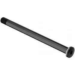 Pevná osa DT Swiss RWS Plug-In Thru 100/12 mm - M12x1,5, 121 mm, bez páčky